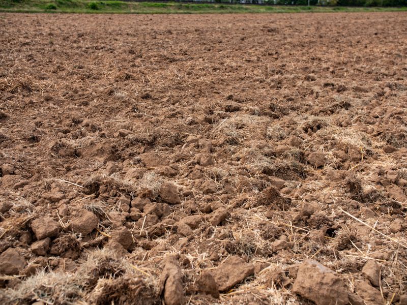 Farm Soil Preparation