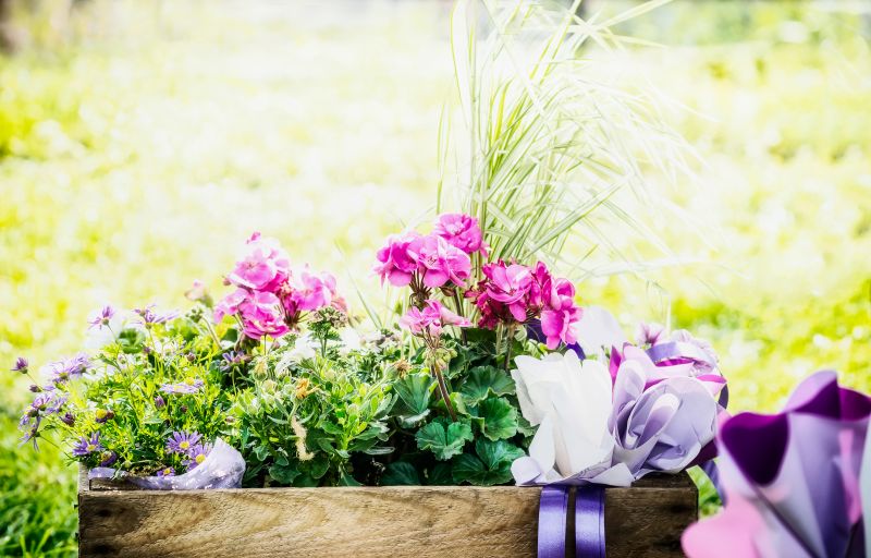 Bush Planting Service in Honolulu, HI
