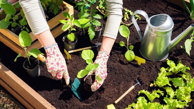 Bush Planting Service in Ventura County, CA