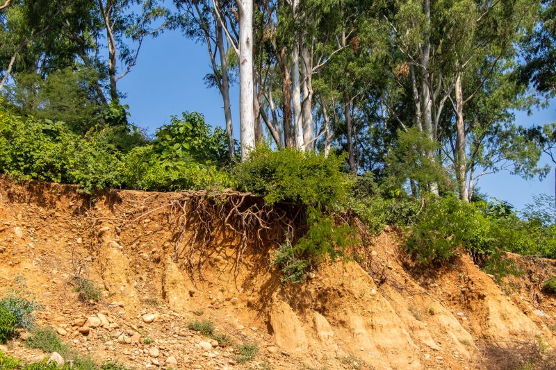 Erosion Control Installation in Honolulu, HI