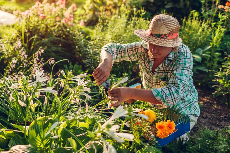 Flower Bed Cleanup Service in Ventura County, CA