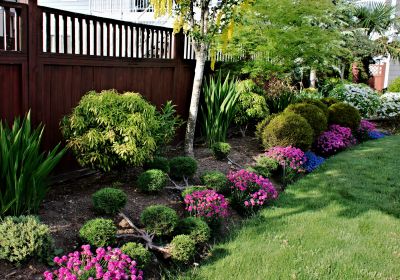 Flower Landscaping in Honolulu, HI