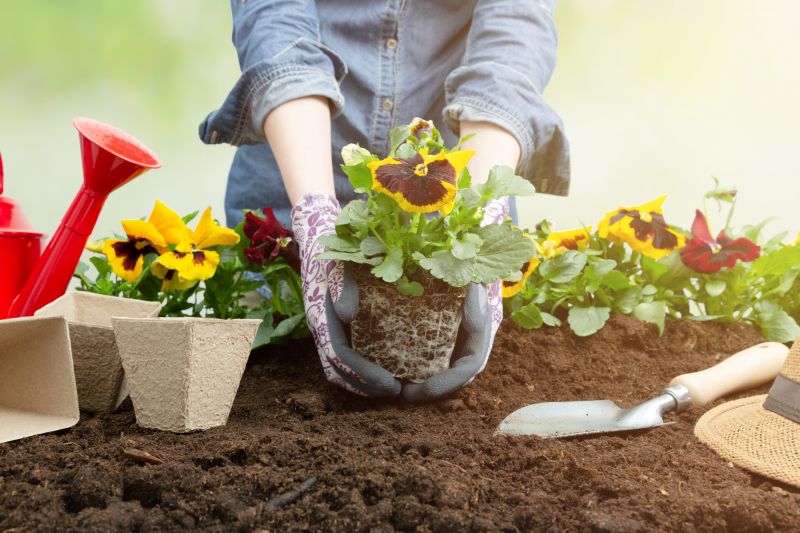 Ground Cover Planting in Honolulu, HI