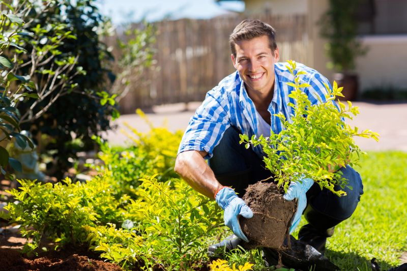 Hedge Replacement in Honolulu, HI