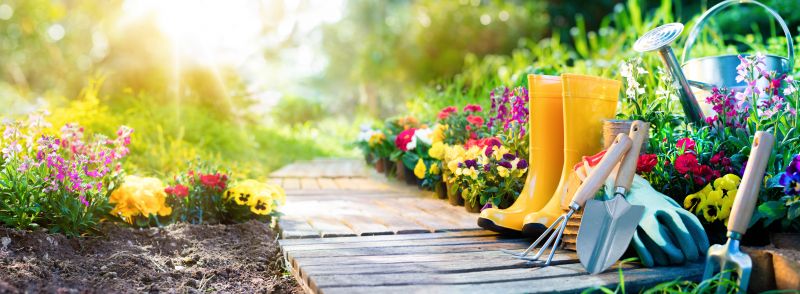 Home Gardening Service in Honolulu, HI