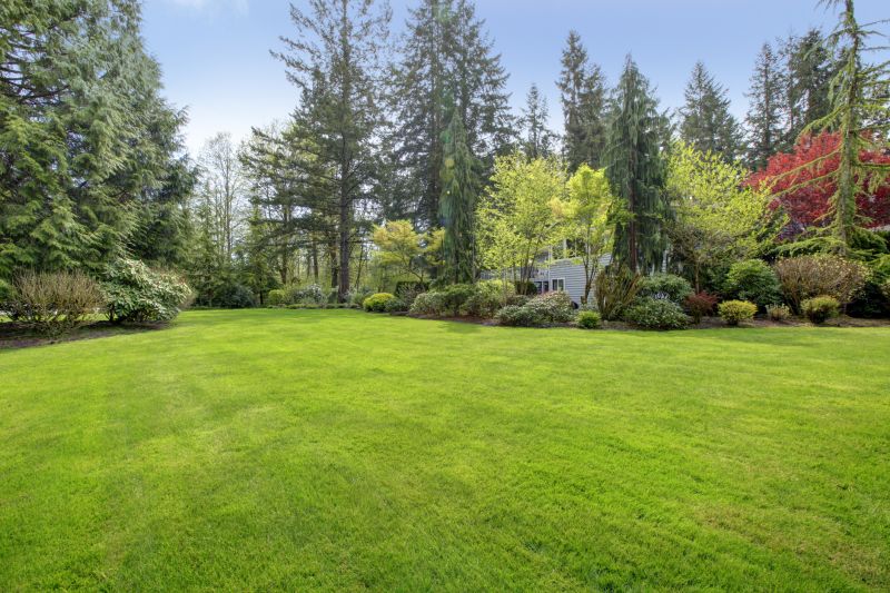 Landscaping Modification in Ventura County, CA