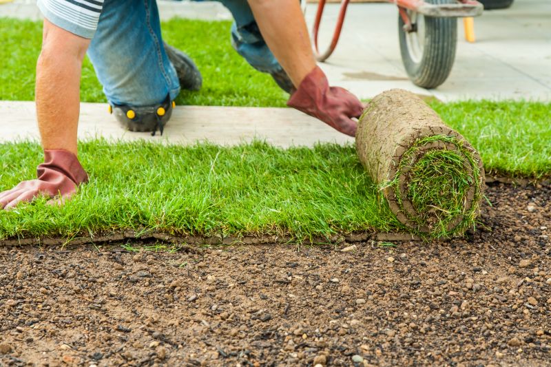 Lawn And Garden Installation in Honolulu, HI