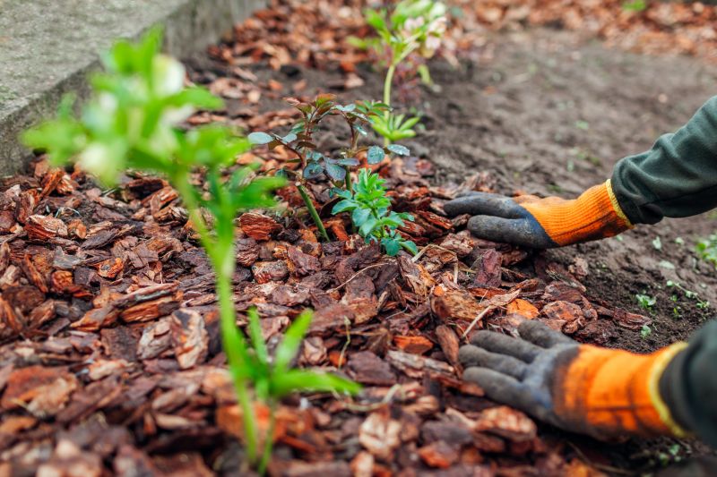 Organic Mulch Installation in Honolulu, HI
