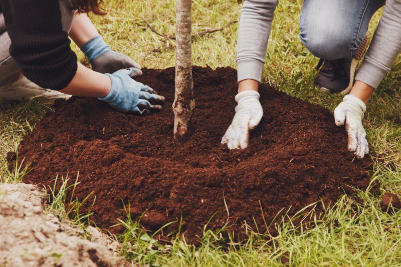 Ornamental Tree Planting in Honolulu, HI