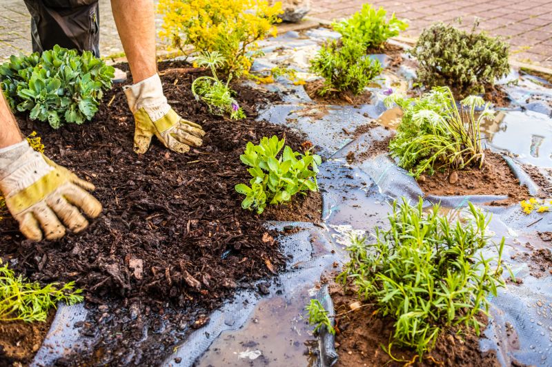 Shredded Mulch Installation in Honolulu, HI