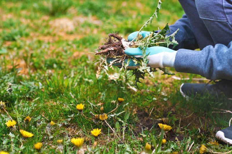 Spring Garden Maintenance in Honolulu, HI