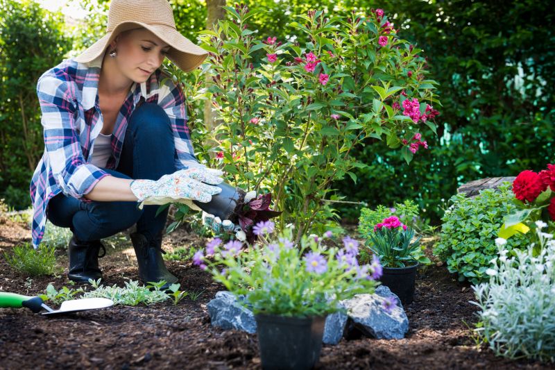 Honolulu, HI